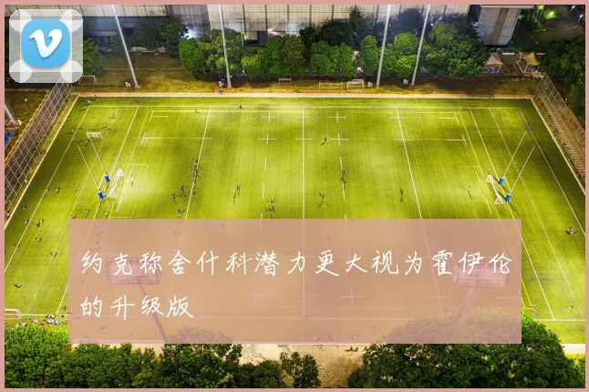 约克称舍什科潜力更大视为霍伊伦的升级版