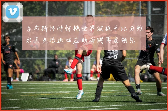 吉布斯怀特惊艳世界波扳平比分维尔贝克迅速回应助海鸥再度领先