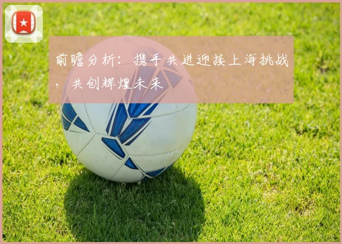 前瞻分析：携手共进迎接上海挑战，共创辉煌未来
