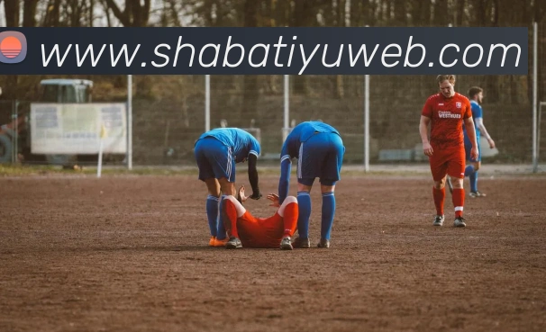 沙巴体育平台生态图