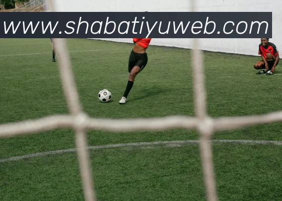 沙巴体育APP 封面图