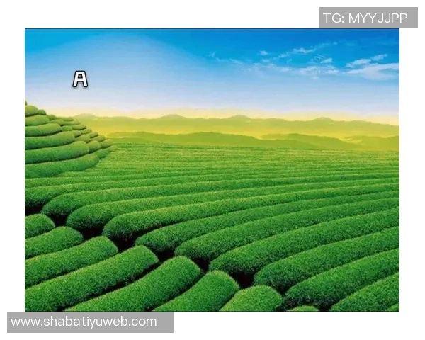 里德寄语年轻人:调整心态别自我否定学会宽容对待自己 里德寄语年轻人:调整心态别自我否定学会宽容对待自己